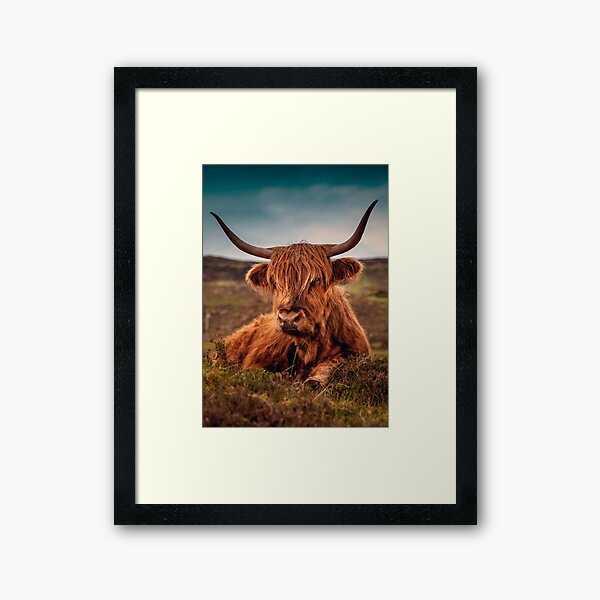 Vista previa del artículo con la obra «Toro Durmiente @ crazydodo», diseñado y vendido por crazydodo.