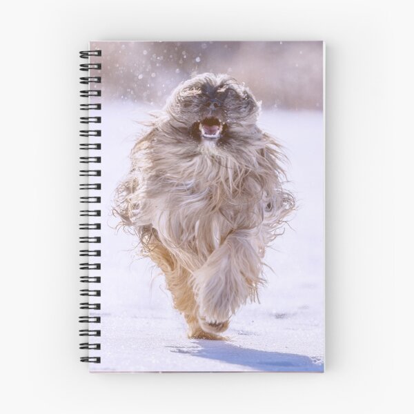 Item preview, Excited shih tzu running in the snow designed and sold by DelightfulArts.