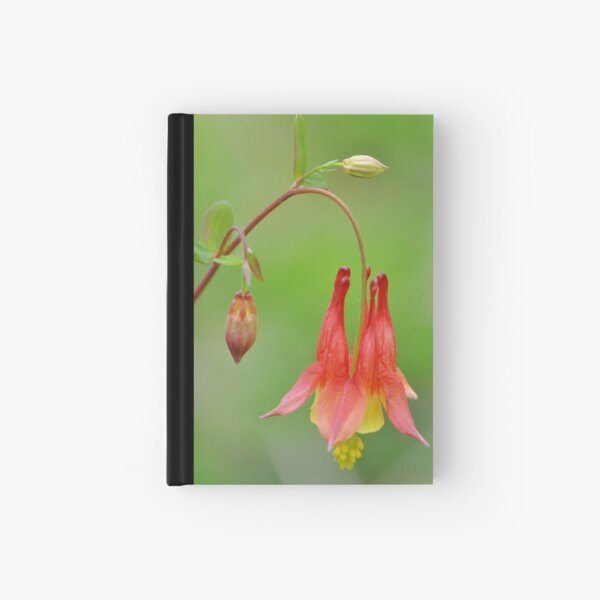 Woodland Beauty Hardcover Journal