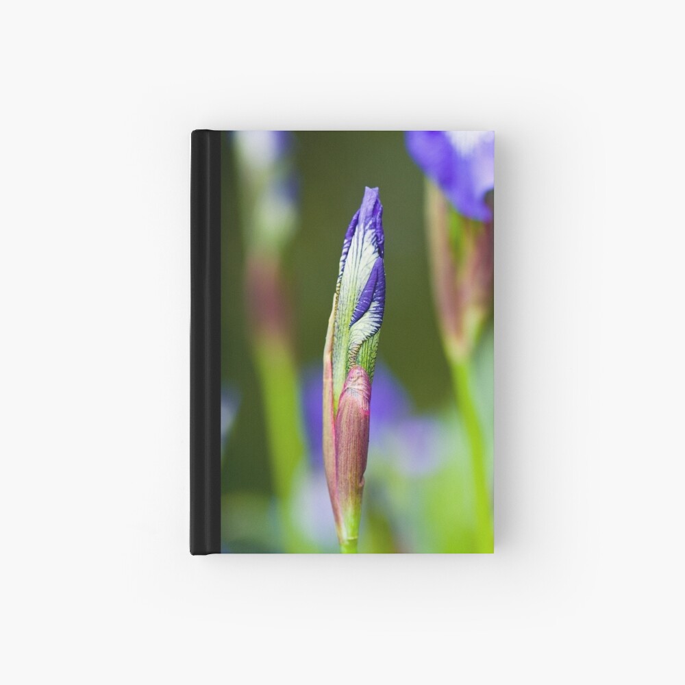 Purple Iris Bud (Iris versicolor) Hardcover Journal