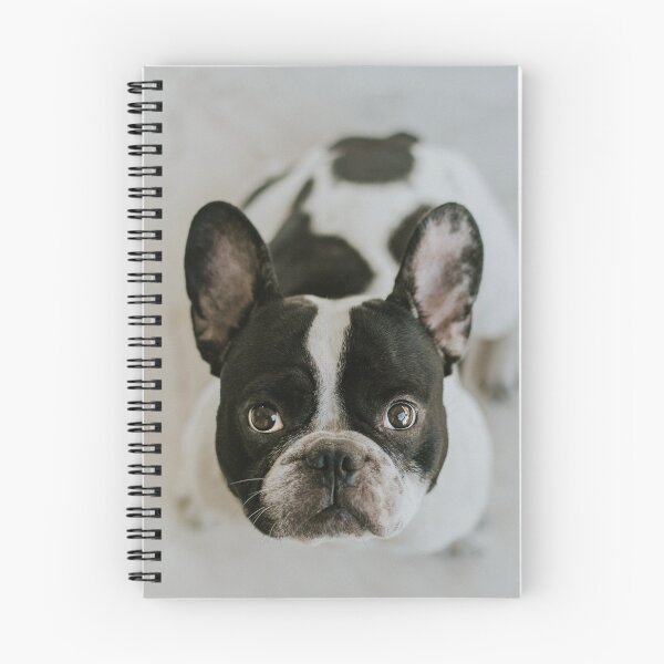 Item preview, Big eyes white and black pug designed and sold by DelightfulArts.