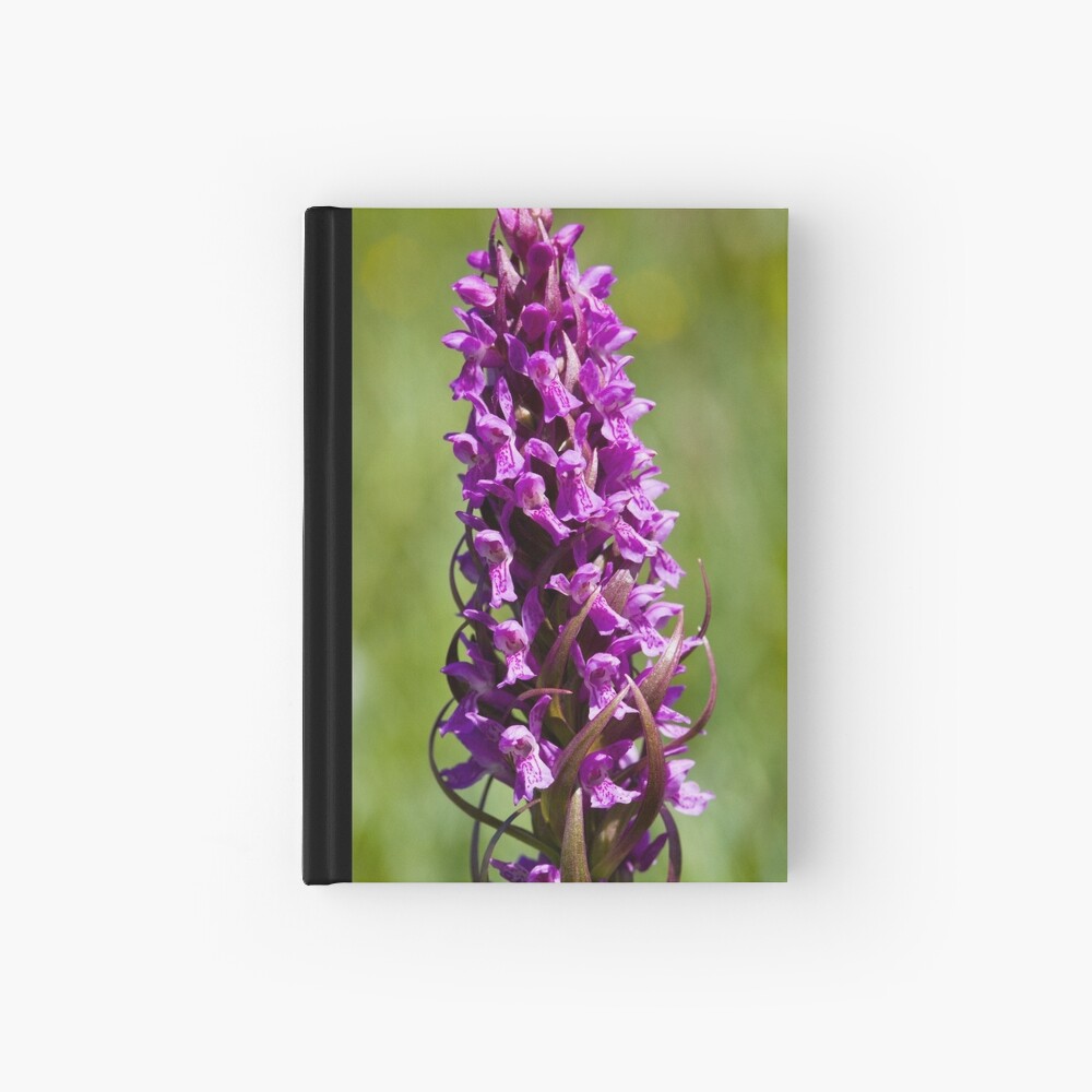 Early Marsh Orchid (Dactylorhiza incarnata) Hardcover Journal