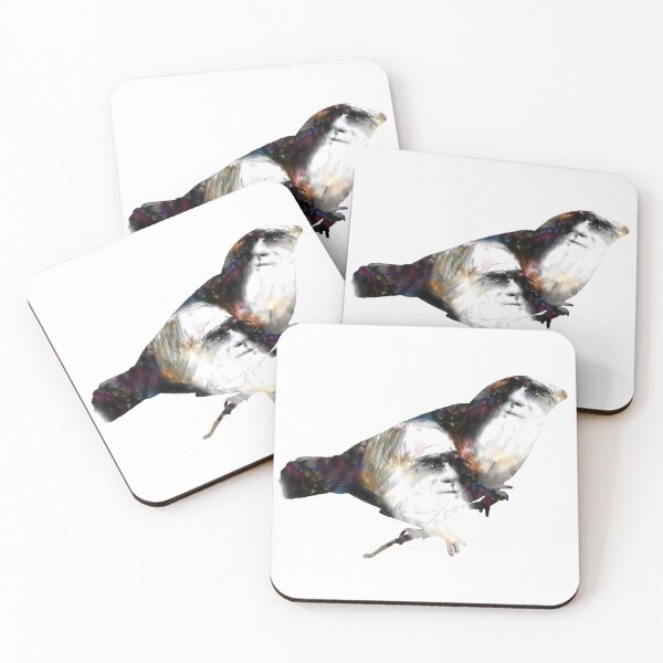 Item preview, Charles Darwin and a Male Large Ground Finch designed and sold by weavernap.