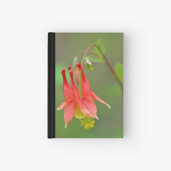 Wild Columbine Hardcover Journal