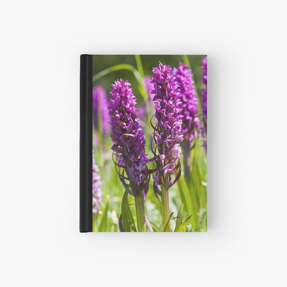 Early Marsh Orchid (Dactylorhiza incarnata) Hardcover Journal