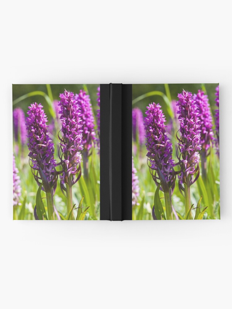 Alternate view of Early Marsh Orchid (Dactylorhiza incarnata) Hardcover Journal