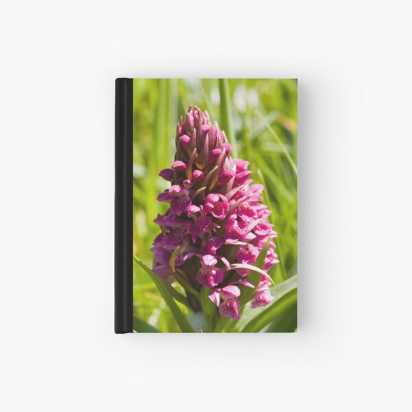 Southern Marsh Orchid (Dactylorhiza praetermissa) Hardcover Journal