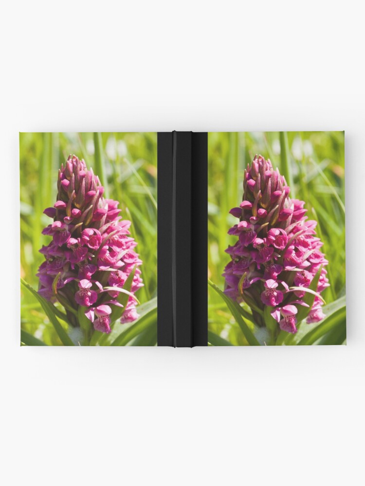 Alternate view of Southern Marsh Orchid (Dactylorhiza praetermissa) Hardcover Journal
