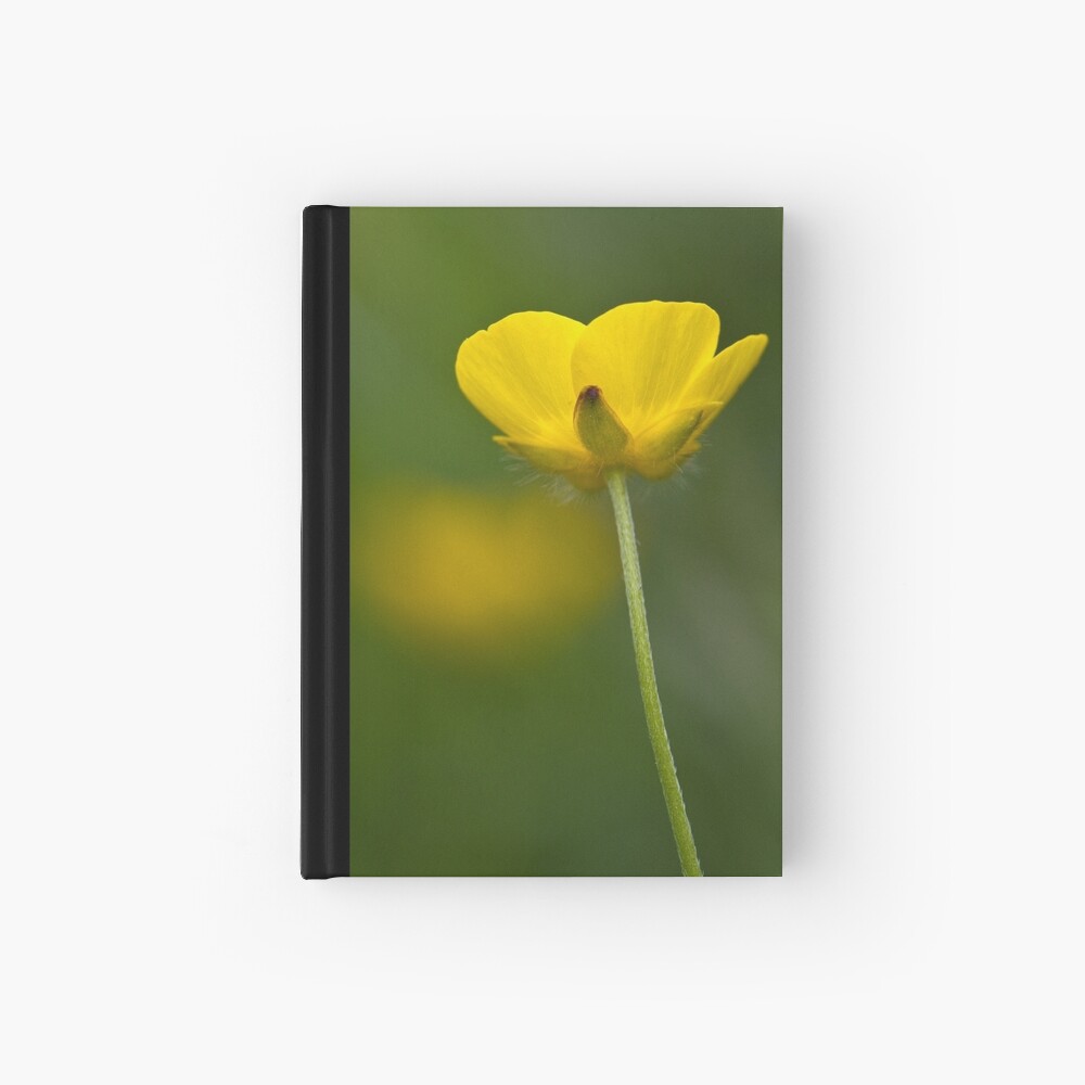 Meadow Buttercup (Ranunculus acris) Hardcover Journal