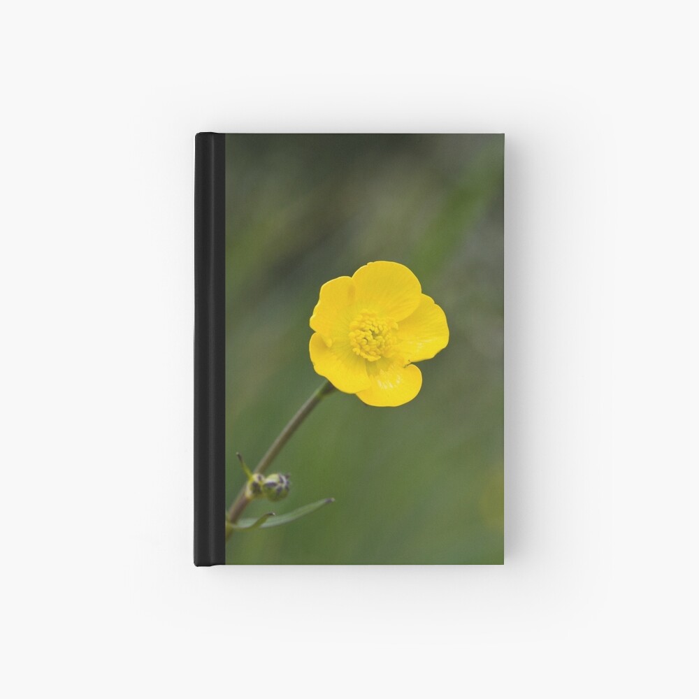 Meadow Buttercup (Ranunculus acris) Hardcover Journal