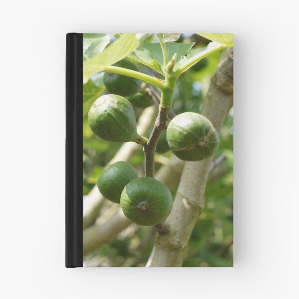 Item preview, Green Figs designed and sold by Gabrielle Battersby.