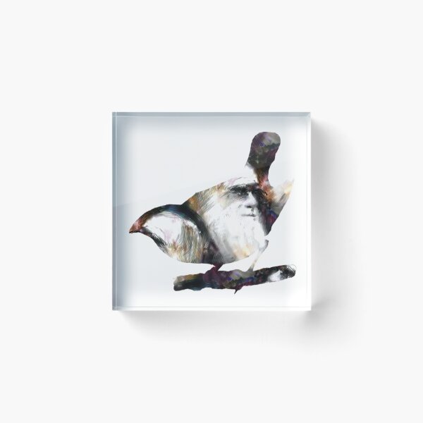 Item preview, Female Large Ground Finch with Charles Darwin designed and sold by weavernap.