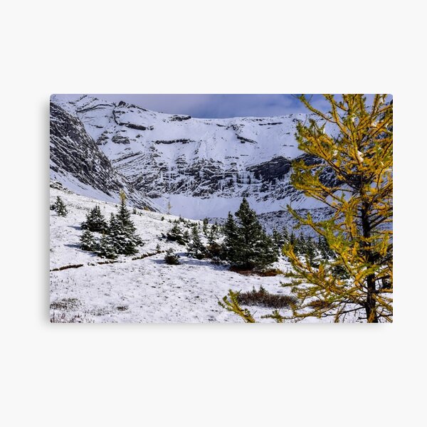 Item preview, Ptarmigan Cirque. designed and sold by CanadianWild418.