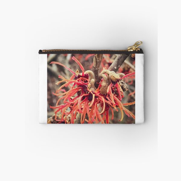 Item preview,  Red Witch Hazel  designed and sold by Scopic.
