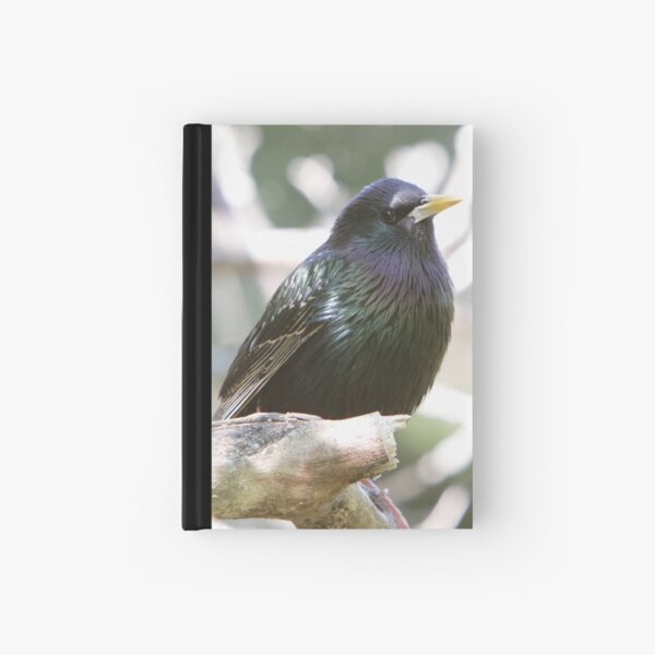 Item preview, European Starling. designed and sold by DigitallyStill.