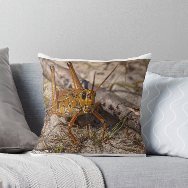 Item preview, Its A Bugs Life  designed and sold by John  Kapusta.