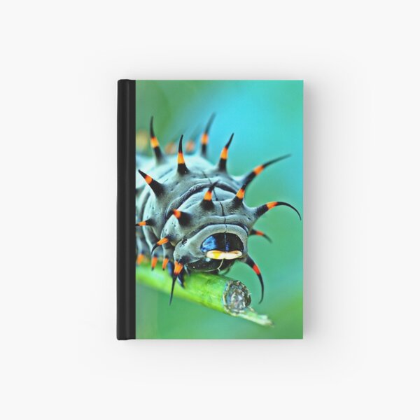 Close Up - Cairns birdwing caterpillar Hardcover Journal