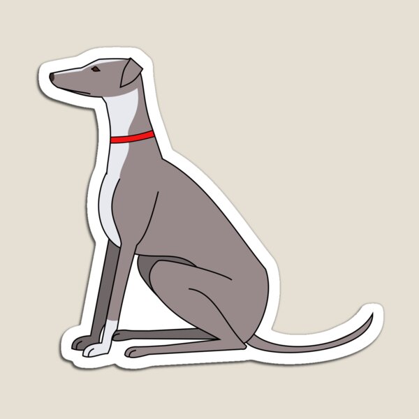Greyhound sitting Magnet
