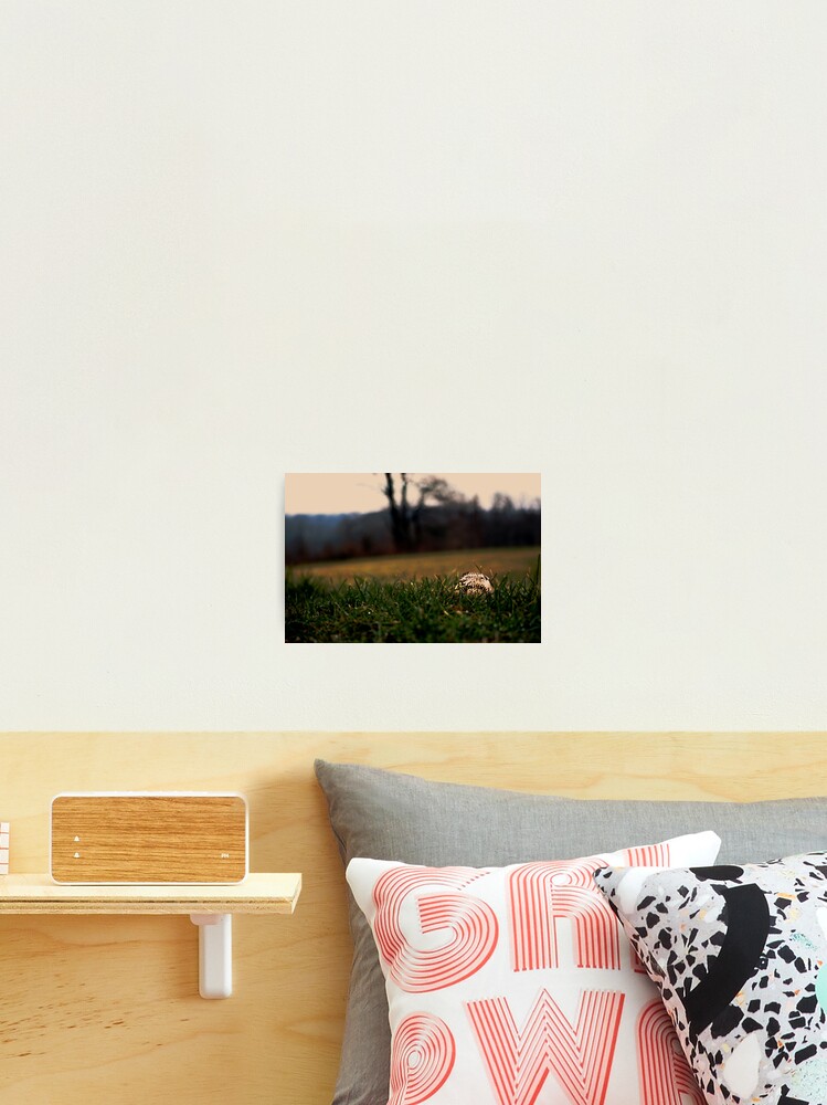 Thumbnail 2 of 3, Photographic Print, Waiting For Spring designed and sold by 6strings.