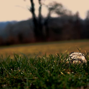 Imagen de la obra Waiting For Spring de 6strings