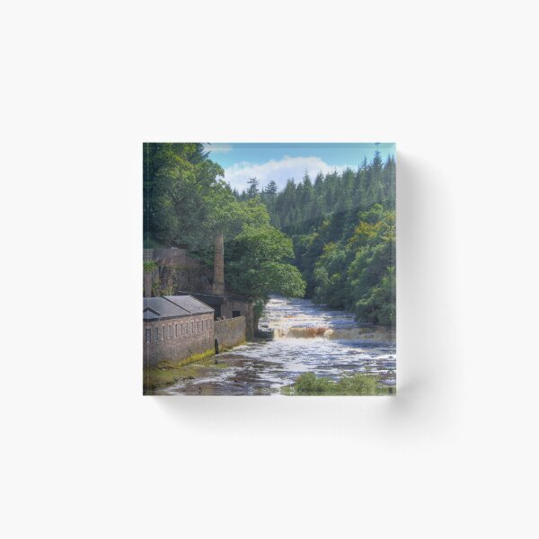 Item preview, The Clyde designed and sold by tomg.