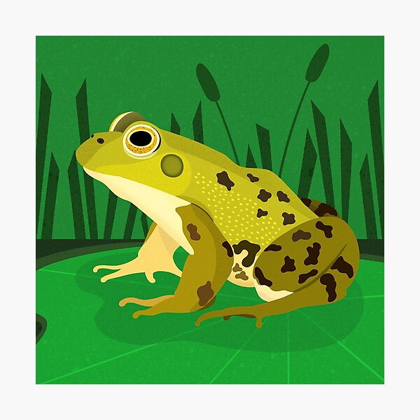 Item preview, Bullfrog designed and sold by Nicole WILSON.