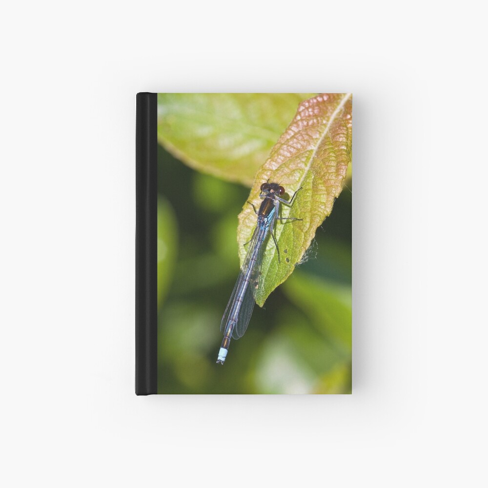 Red-eyed Damselfly (Erythromma najas) Hardcover Journal