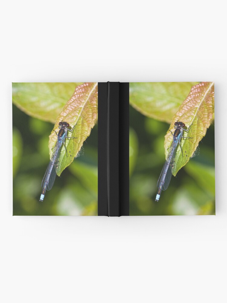 Alternate view of Red-eyed Damselfly (Erythromma najas) Hardcover Journal