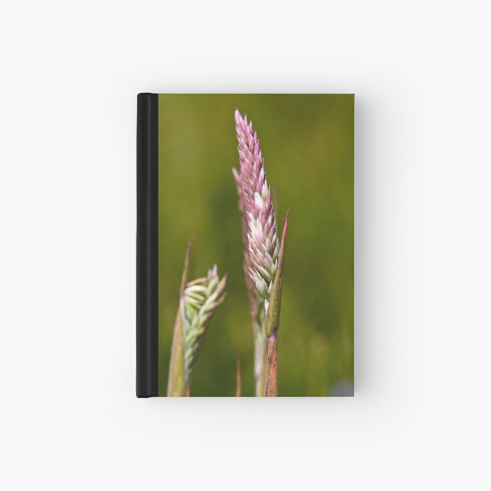 Yorkshire Fog (Holcus lanatus) Hardcover Journal