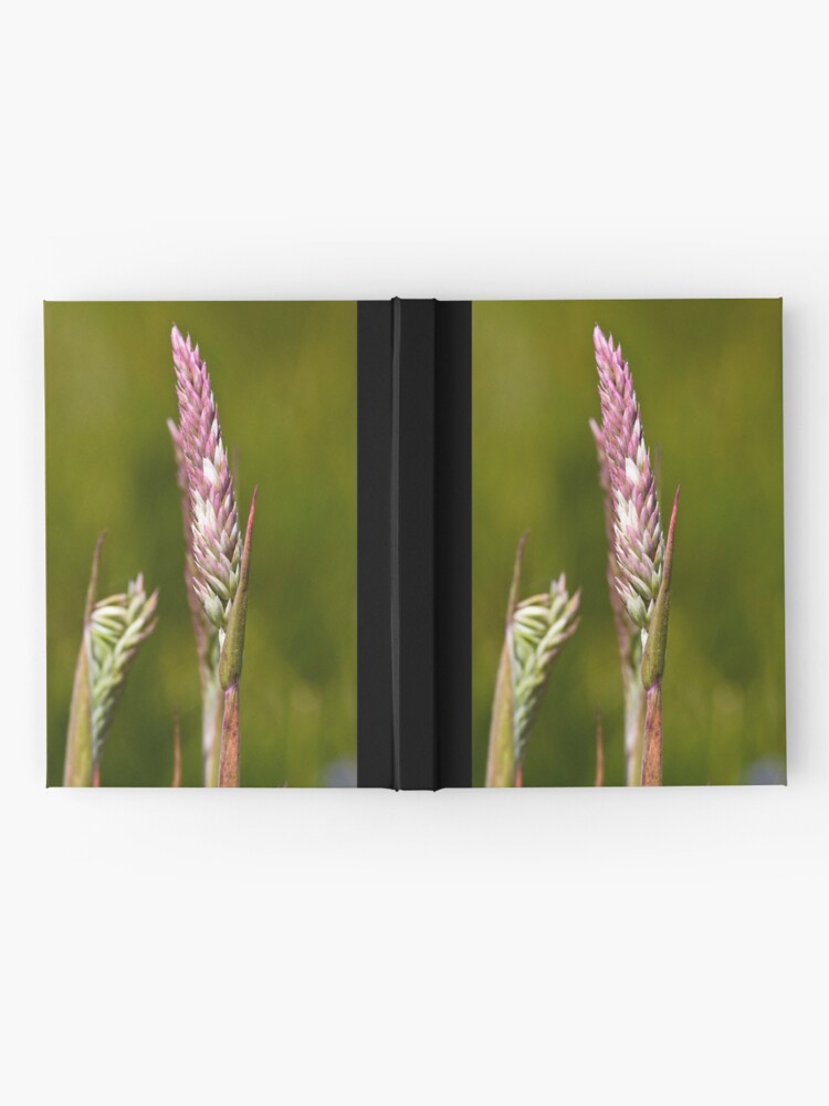 Alternate view of Yorkshire Fog (Holcus lanatus) Hardcover Journal