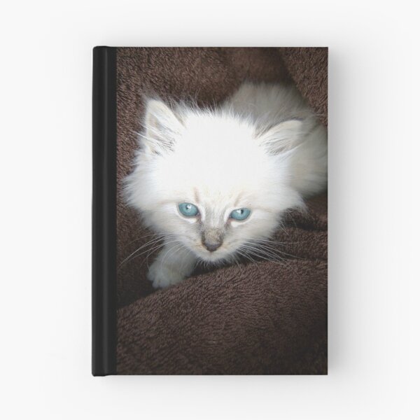 Aperçu de l'œuvre Soft Blue créée et vendue par WildCapture.