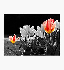 Two-LIps Photographic Print