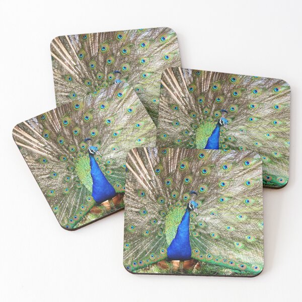 Item preview, Show-off designed and sold by BrandiVandy.