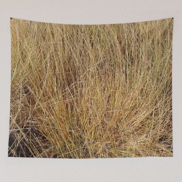 Item preview, Autumn grass is brown designed and sold by ellenhenry.