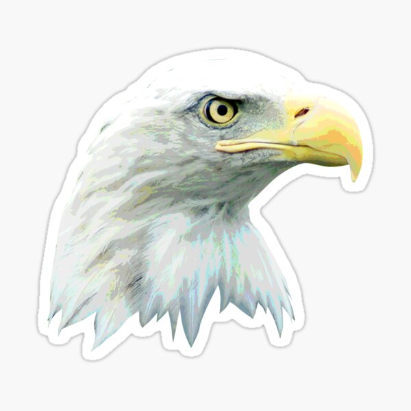 Item preview, Adlerkopf, Adler, Vogel, Falke designed and sold by digidesign.