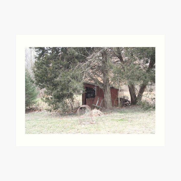 The Lonely Shed Art Print