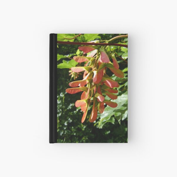 seed cluster Hardcover Journal