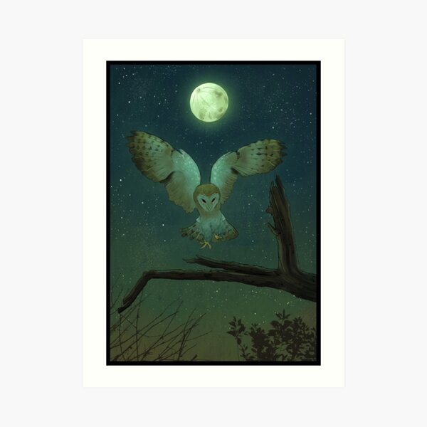 Owl Hunt Art Print
