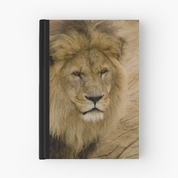 Artikelvorschau, Lion entworfen und verkauft von lurch.