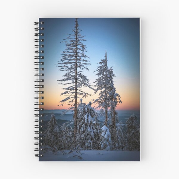 Item preview, Winter fragment designed and sold by Philippe Sainte-Laudy.