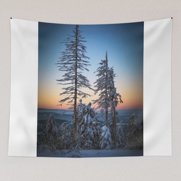 Item preview, Winter fragment designed and sold by Philippe Sainte-Laudy.