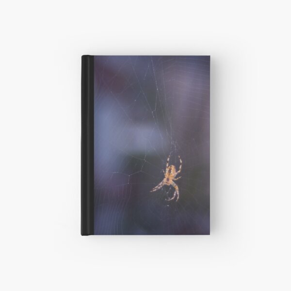 Like a spider in the web Hardcover Journal