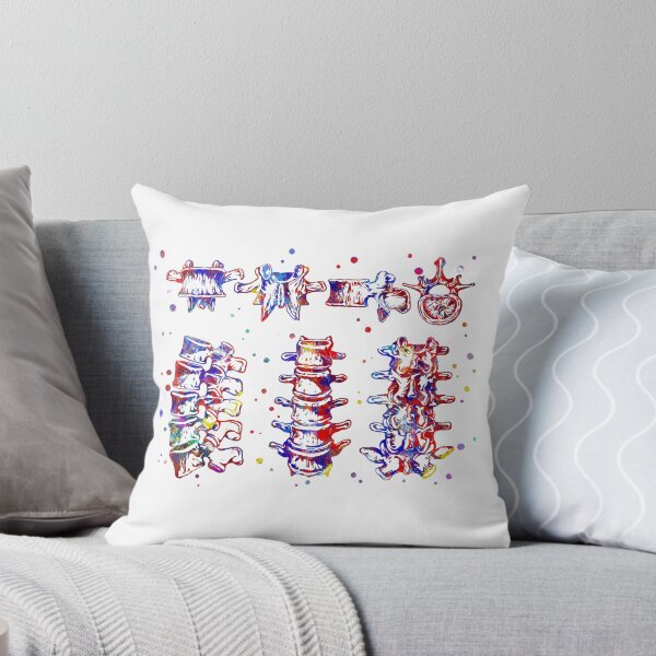 Item preview, Lumbar spine structure, vertebral Bone designed and sold by Rosaliartbook.