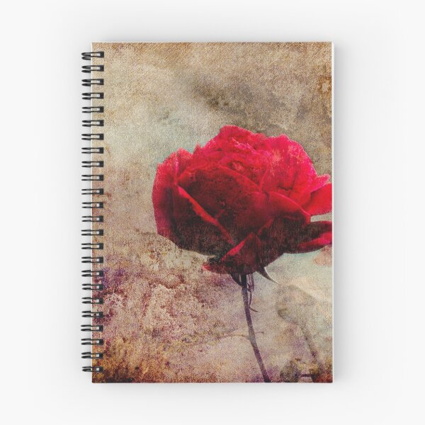 Item preview, Rose by the wall designed and sold by Gbenonys Art.