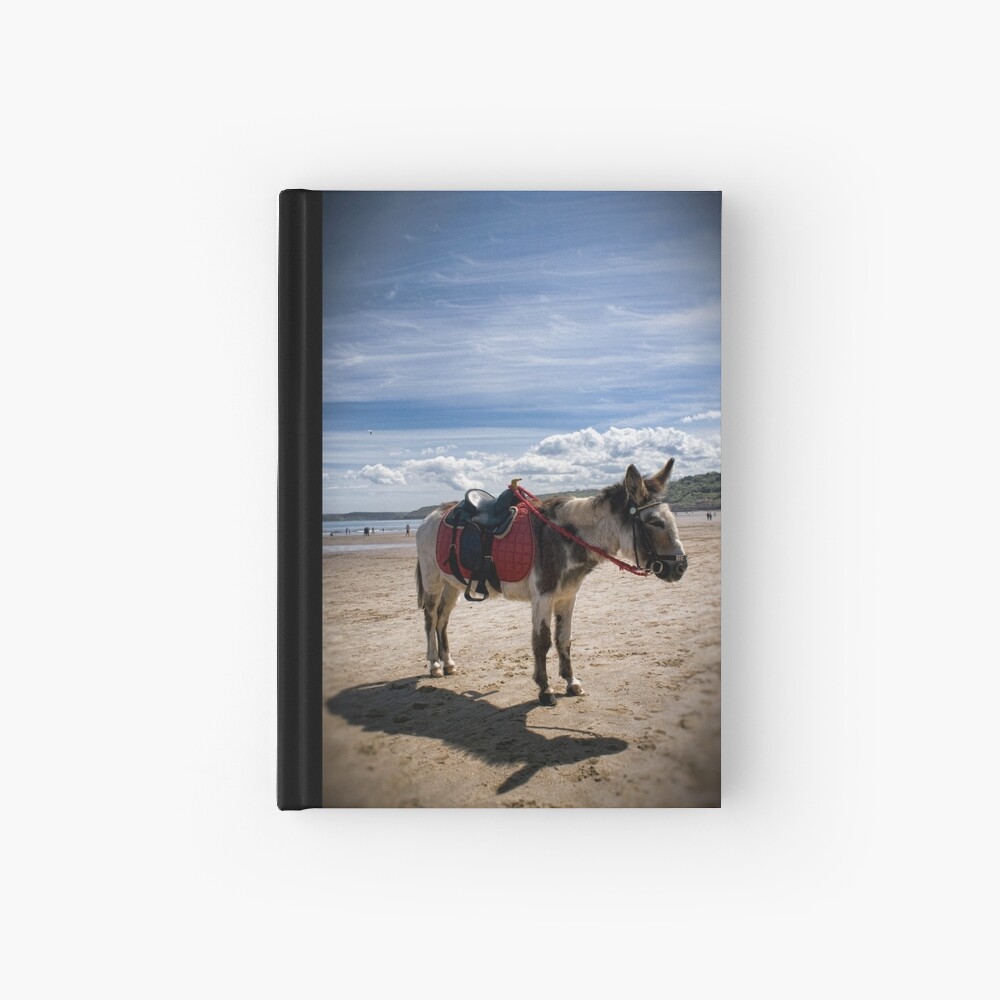 Bess Hardcover Journal