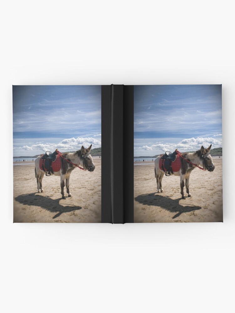 Alternate view of Bess Hardcover Journal