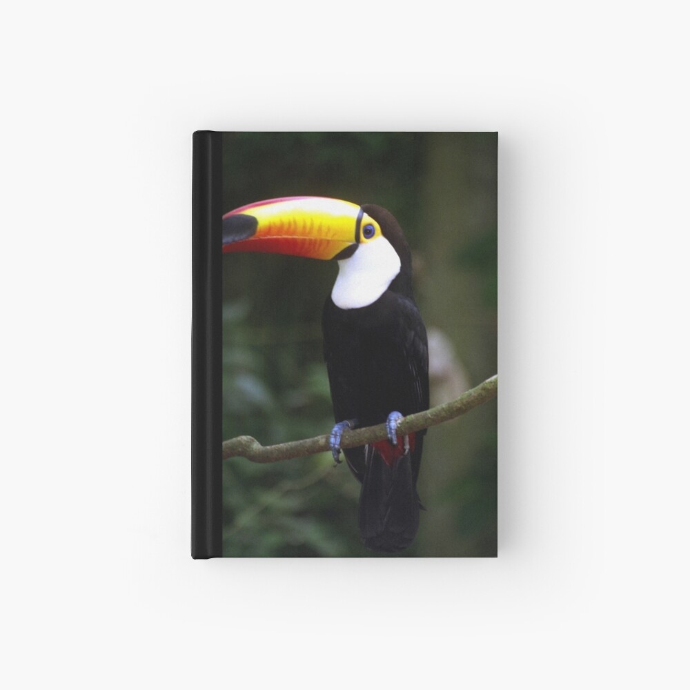 Toucan Hardcover Journal