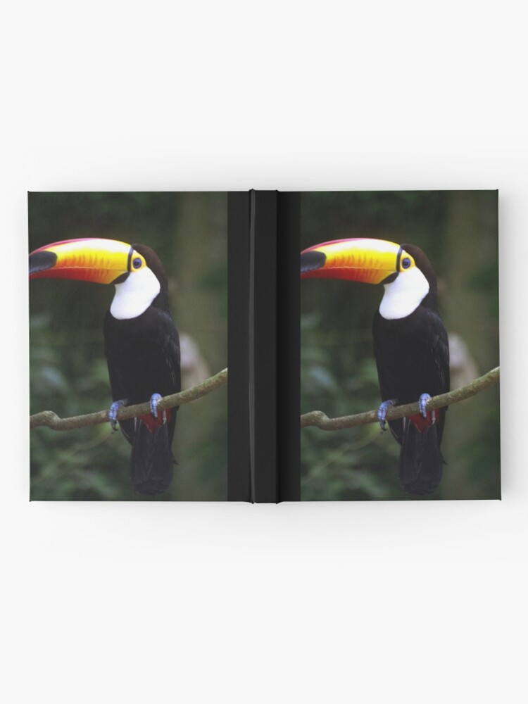 Alternate view of Toucan Hardcover Journal