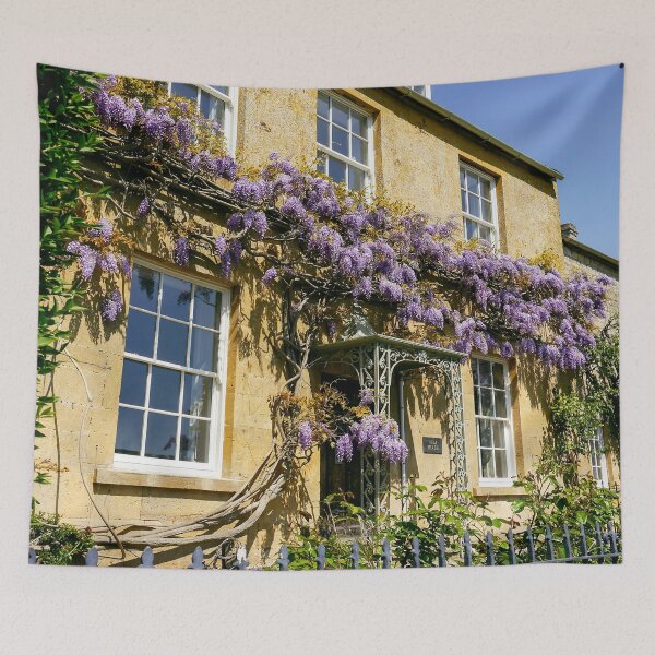 Aperçu de l'œuvre Glycine de Cotswold créée et vendue par ScenicViewPics.