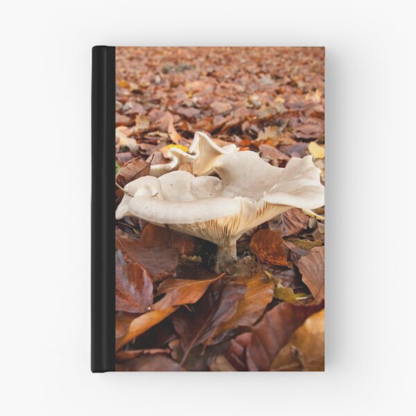 Item preview, Surrounded by a sea of beech-leaves (please full view) designed and sold by steppeland.
